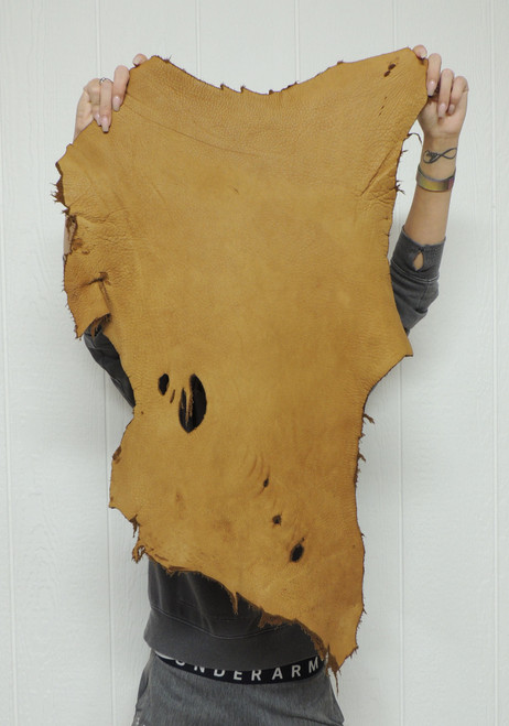 6-7 oz. Full Grain ELK Leather Hide for Native American SASS Cowboy Crafts Moccasins Buckskins Pouches Indian Art Laces Taxidermy ep-40