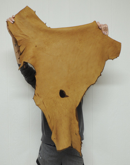 7-8 oz. Full Grain ELK Leather Hide for Native American SASS Cowboy Crafts Moccasins Buckskins Pouches Indian Art Laces Taxidermy ep-32