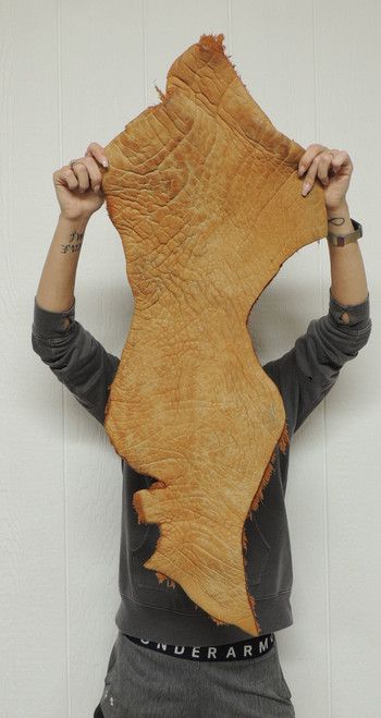 22-24+ oz. Full Grain Buffalo Bison Leather Hide for Native American SASS Cowboy Crafts Moccasins Buckskins LARP  SCA Cosplay Costumes  17-43