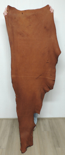 Buffalo Leather - Full Grain - Alder Brown - 6-7 oz. - 14.25 Square Feet (Hide #1-160)
