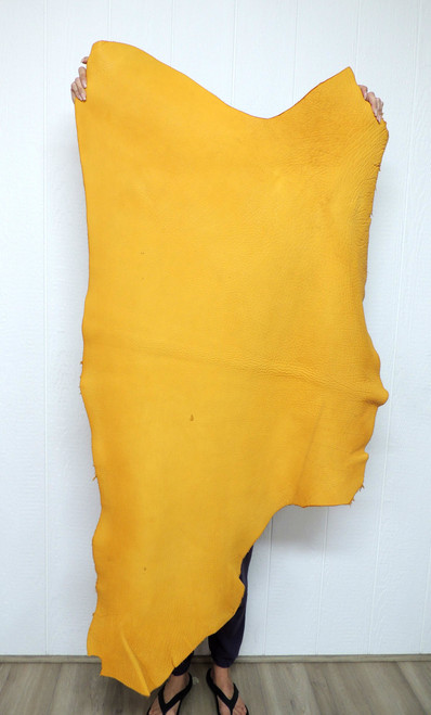 Buffalo Leather - Full Grain - Heavyweight 10-12 oz. - Gold - 14.5 Square Feet - (Hide # 4-6)