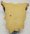 (17) Buckskin Leather Hides for Native American Crafts Regalia Clothing Medicine Bags Laces Fringe Lining Leather Journal Covers(LOT 2)