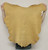 SMOKE BUCKSKIN Leather Hide for Native American SASS Western Crafts Buckskins Cosplay Renfaire SCA LARP Garb Costumes Laces Medicine Bags Laces Deer Antler Mounts 2-35