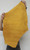 (6) 2-3 oz. GOLD Buffalo Bison Leather Hides for Native American SASS SCA LARP Crafts Moccasins Bags  Buckskins Lacing Taxidermy Pouches B9