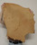 10-11 oz. Full Grain Buffalo Bison Leather Hide for Native American SASS Cowboy Crafts Moccasins Buckskins LARP  SCA Cosplay Costumes  12-2
