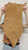 11-13 oz. Full Grain Buffalo Bison Leather Hide for Native American SASS Cowboy Crafts Moccasins Buckskins LARP  SCA Cosplay Costumes  12-57