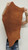 Buffalo Leather - Suede Split - Acorn - 4-6 oz. - 3.0 Square Feet (Hide #2-27)