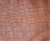 GATOR PRINT Cowhide Leather for Handbags Journal Covers Clothing Upholstery Crafts Inlays 5-28