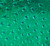 METALLIC GREEN OSTRICH Cowhide Leather for Purses Chaps Wallets Bracelets Earrings Journal Covers Crafts Upholstery 5-57
