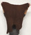 Deerskin Leather - Suede Split - Chocolate - 2-3 oz. - 4.0 Square Feet  (Hide #2-21)