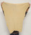 Deerskin Leather - Suede Split - Braintan - 2-3 oz. - 3.75 Square Feet  (Hide #7-40)