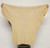 Deerskin Leather - Suede Split - Braintan - 2-3 oz. - 4.75 Square Feet  (Hide #7-41)
