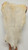 Genuine Wool Sheepskin Hide for Crafts – Soft White Natural Sheep Shearling Pelt for Moccasins, Liners , Bags, Clothes, & Decor (#1-6)