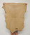 Cocoa Brown Full Grain Buckskin Leather Hide - 3-4 oz. - 6.5 Square Feet