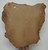 Bomber Brown Full Grain Buckskin Leather Hide – 3–4 oz. – 9.25 Square Feet (Hide # 1-43)