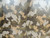 CAMO Full Grain Leather Hide for  Clothing Purses Crafts Wallets Journal Covers Handbags(2-40)