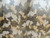 CAMO Full Grain Leather Hide for  Clothing Purses Crafts Wallets Journal Covers Handbags(2-39)