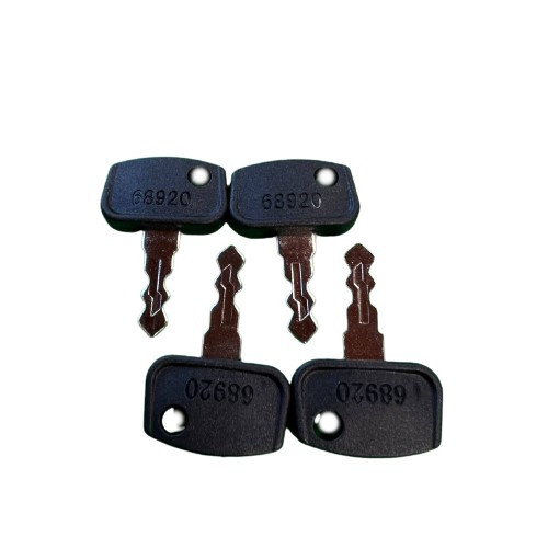 4 Pack 68920 PL501-68920 Ignition Keys for Kubota RTV900 ZeroTurn Mower ZD321 ZD326S ZD1011 ZG227 ZG332P 4 Pack 68920 PL501-68920 Ignition Keys for Kubota RTV900 ZeroTurn Mower ZD321 ZD326S ZD1011 ZG227 ZG332P