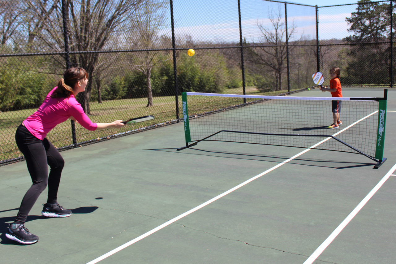 Mini pickleball net clearance