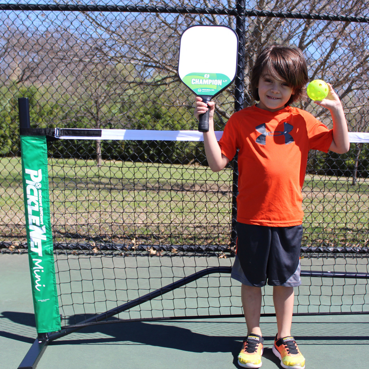 Mini pickleball net clearance