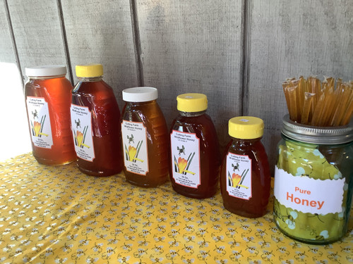 Wildflower Honey 1 lb. Plastic Squeeze Bottle