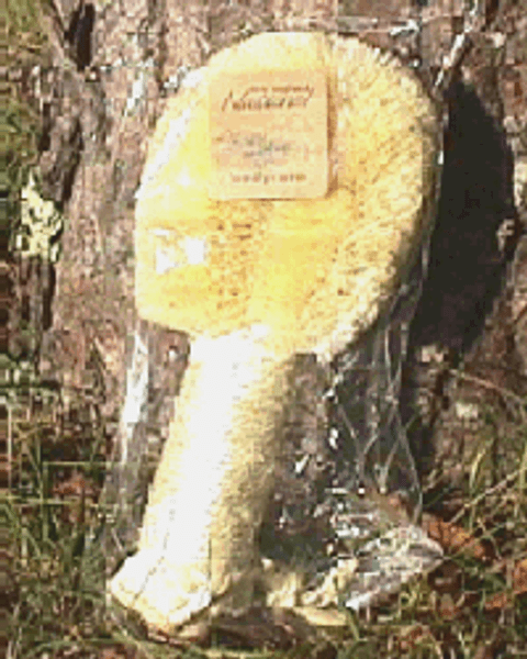 Jute Body Brush