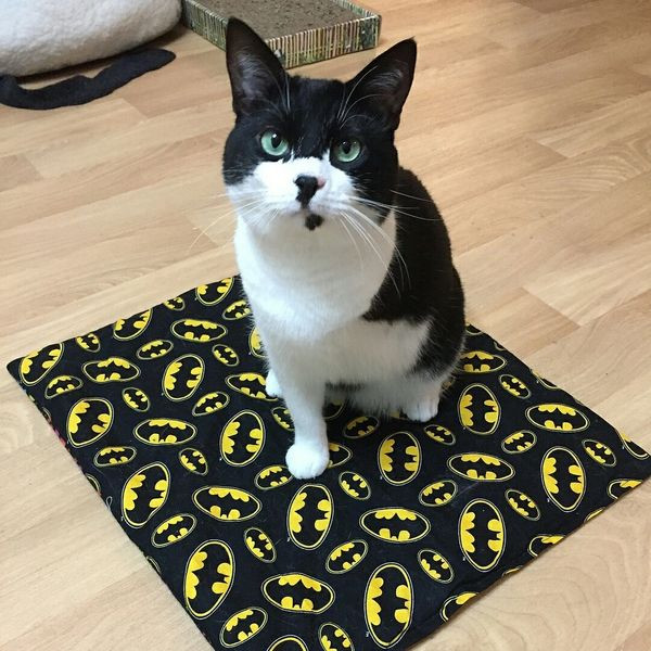 Catnip Mat