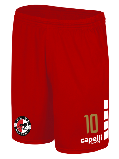 ELITE SA TEAM MATCH SHORTS RED WHITE 