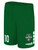 TOLEDO CELTIC TEAM MATCH SHORTS GREEN WHITE