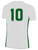 TOLEDO CELTIC SOHO FUSION SHORT SLEEVE JERSEY WHITE GREEN