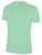 USA FIELD  HOCKEY BASICS COTTON TEE CREST ON WEARERS CENTER CHEST MINT WHITE