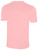 CEDAR STARS ACADEMY PLAYERS CSA  BASICS COTTON SHORT SLEEVE TEE SHIRT CREST ON WEARER'S LEFT CHEST BLUSH WHITE