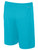 DIAMONDS SA CS II MATCH GOALKEEPER SHORTS TURQUOISE BLACK