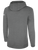 USASA BASICS LARGE LOGO PULLOVER FLEECE HOODIE CENTER FRONT: USASA CREST DARK HEATHER GREY WHITE