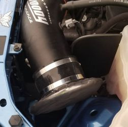 BWoody 410.717 Heat Shield for 15-23 Challenger, Charger SRT Hellcat ...