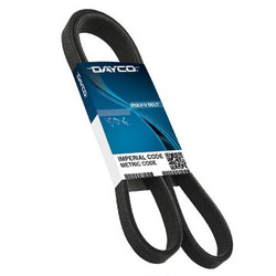 DAYCO "Poly Rib" Belt for 05-10 Car/Jeep 6.1L with ATI Balancer Belt - 5060800