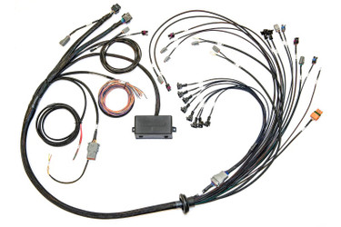 DISCONTINUED Haltech Ford Coyote 5.0 Elite 2500 Terminated Harness w/EV1 Inj Connectors/Late Style Cam Solenoid