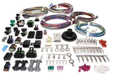 DISCONTINUED FAST Wiring Harness XFI