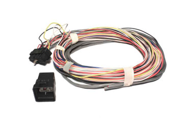 FAST Wiring Harness W/Relay FAST