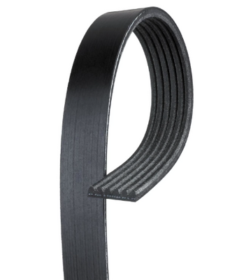 ProCharger DB108I-006 K061080 / 6PK1080 Heavy Duty Serpentine Belt Replacement