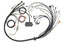 DISCONTINUED Haltech Ford Coyote 5.0 Elite 2500 Terminated Harness w/EV1 Inj Connectors/Late Style Cam Solenoid