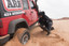 ARB TREDPROBB TRED Pro Recovery Boards Black