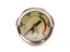 Nitrous Outlet 00-63001-6 Luminescent Nitrous Pressure Gauge with -6AN Manifold