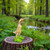 Wooden Bamboo Duck Collection