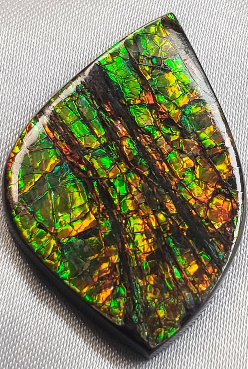 Free Form Natural 36 x24 Ammolite With Deep Greens