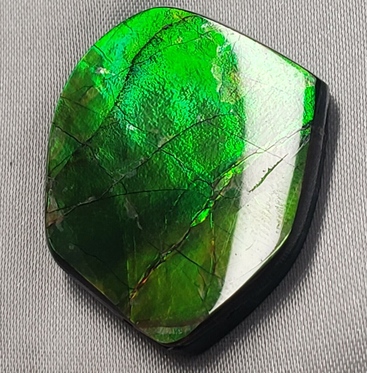 Free Form Natural 33x26 Ammolite With Green and Hints of Yellow