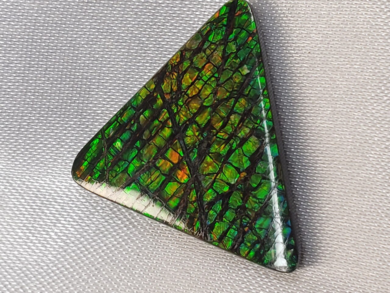 Free Form Triangle 23x18 Ammolite With Green and Hints of Vibrant Yellow