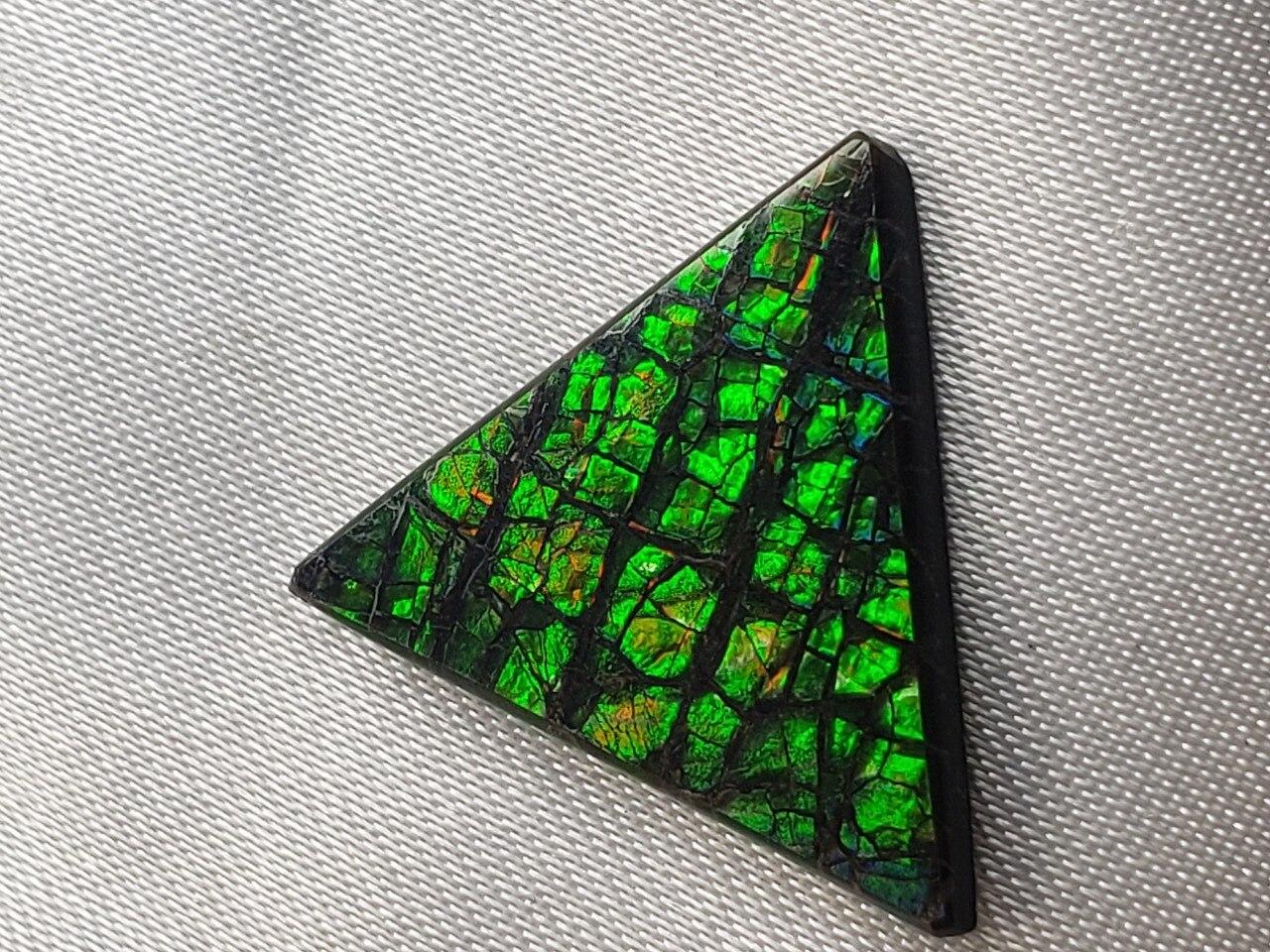 Free Form Triangle 20x19 Ammolite With Green and Hints of Vibrant Yellow