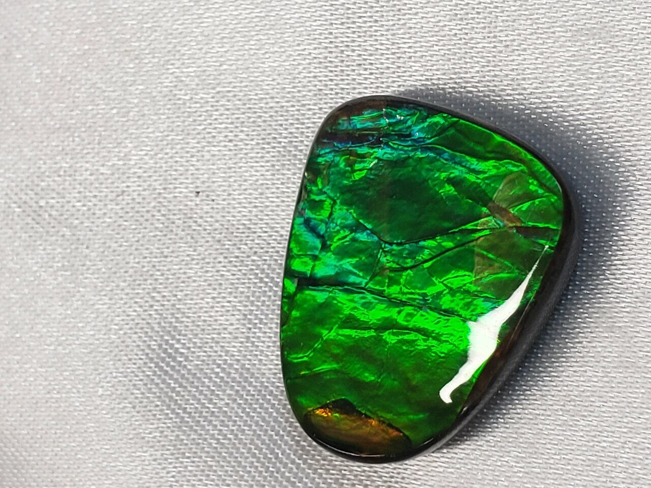 Free Form Round 21x17 Ammolite With Green and a Hint of Deep Blue