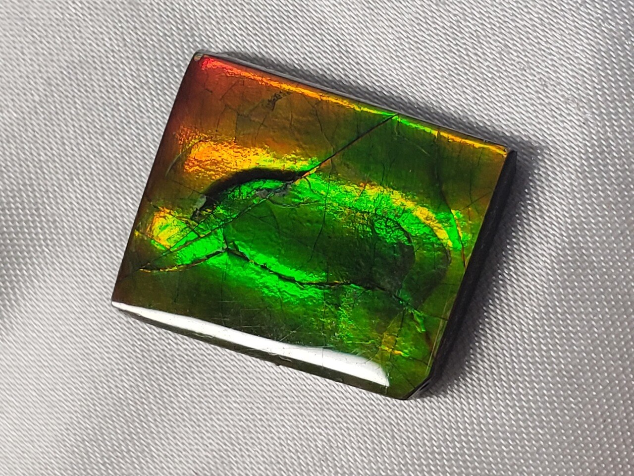 Free Form Rectangle 23x18 Ammolite With Green and a Hint of Deep Red